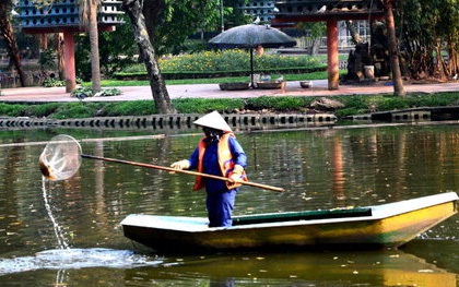 Hà Nội miễn vé vào công viên Thống Nhất, Bách Thảo