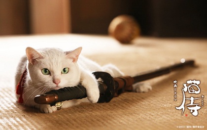 Ngắm Nhật Bản thời xưa cùng bé mèo Samurai