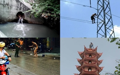 Những vụ ngáo đá kì quặc nhất năm 2015