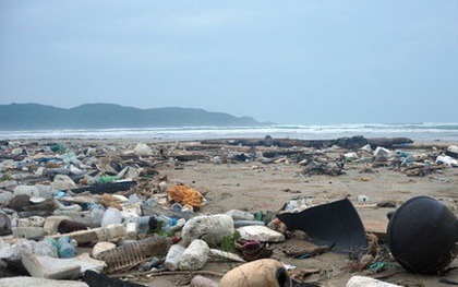 Côn Đảo nguy cơ thành bãi rác đại dương