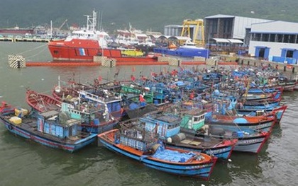 80 khách mắc kẹt trên huyện đảo Lý Sơn do ảnh hưởng bão Melor