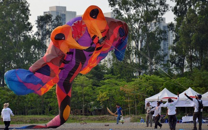 Chiêm ngưỡng những con diều khổng lồ tại Festival diều quốc tế