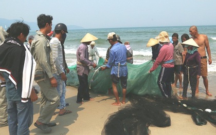 Chiều nay công bố nước biển Đà Nẵng có an toàn để tắm hay không