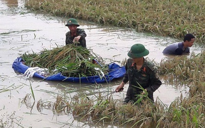 Hình ảnh đẹp: Khi những người chiến sĩ lội bùn, xuống đồng gặt lúa giúp dân