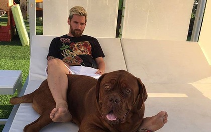 Messi thảnh thơi thư giãn bên chó cưng khổng lồ