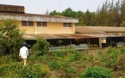 Dân bịt khẩu trang đi ngủ vì mùi thuốc sâu