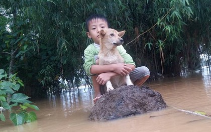 Cậu bé 6 tuổi bật khóc vì bơi ra dòng nước lũ cứu chú chó nhỏ nhưng không thể vào bờ