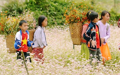 Dòng người lũ lượt kéo về thị trấn Đồng Văn để chụp ảnh với hoa tam giác mạch