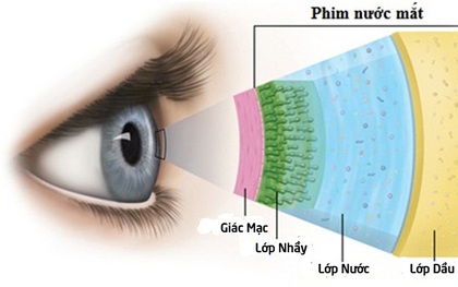 Chuyên gia tư vấn cách chọn kính áp tròng và chuyện cung cấp oxy cho mắt