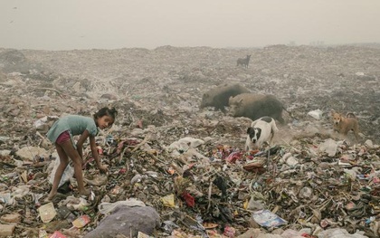 Chùm ảnh cho thấy sự đáng sợ của ô nhiễm môi trường tại Dehli, "thủ phủ" ô nhiễm của Ấn Độ