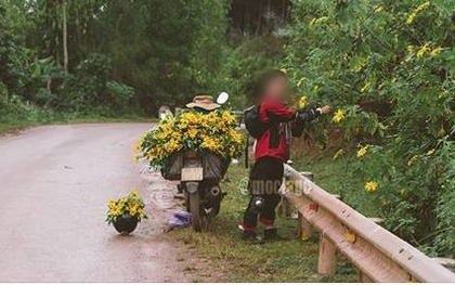 Hình ảnh nam phượt thủ khoe "chiến tích" vặt sạch hoa dã quỳ bên đường gây xôn xao