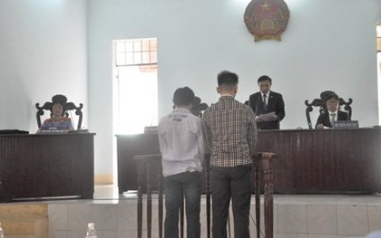 Chánh án TAND tối cao: Phải xem xét lại vụ án cướp bánh mì!