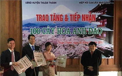 Nhật Bản tặng 100 cây hoa anh đào cho Bắc Ninh