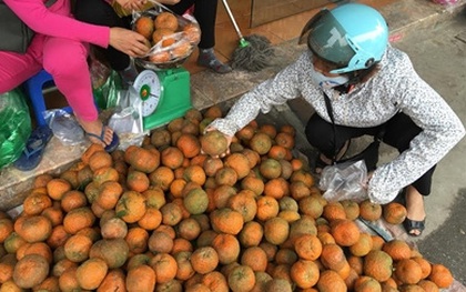 Sự thật cam Hà Giang quấn nilon ngập chợ Hà Nội