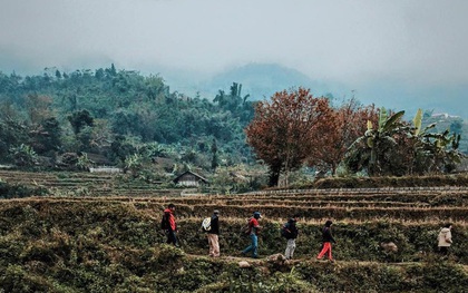 6 lý do nhất định phải nắm tay cùng người ấy tới Sapa 1 lần trong năm!