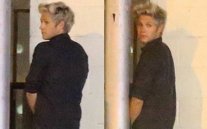 Niall (One Direction) bị bắt gặp đi vệ sinh giữa đường