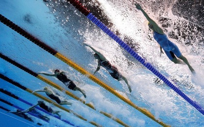 Huấn luyện viên đội bơi Hàn Quốc từ chức sau scandal quay lén vận động viên nữ