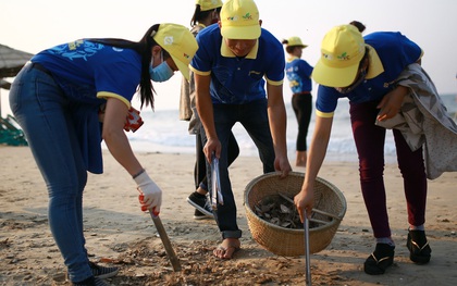 Sau rác thải kinh hoàng, hàng nghìn người trẻ chung tay làm sạch biển miền Trung