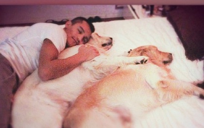 Tài khoản Instagram của bạn chưa chắc đã "hot" bằng 2 chú chó nhà Alexis Sanchez