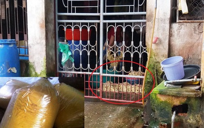 Hãi hùng cảnh làm măng có giòi trên nền ximăng bẩn thỉu