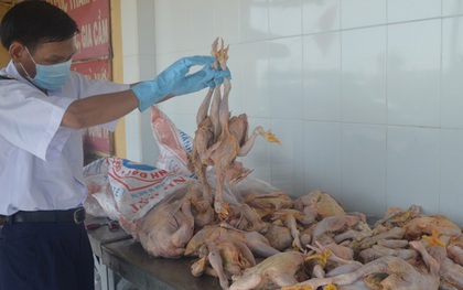 Hàng trăm con gà bốc mùi, rỉ nước trên xe khách