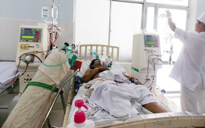 Vụ ngộ độc vì ăn bọ rầy ở Quảng Nam: Nạn nhân thứ 2 đã tử vong
