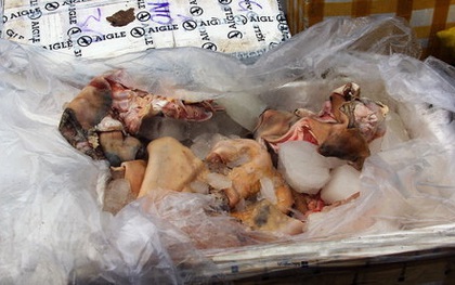 Phát hiện nửa tấn thịt bò "bẩn” được đóng dấu kiểm dịch