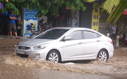 Kon Tum: Xuất hiện "trận mưa vàng" cứu hàng trăm héc ta cà phê