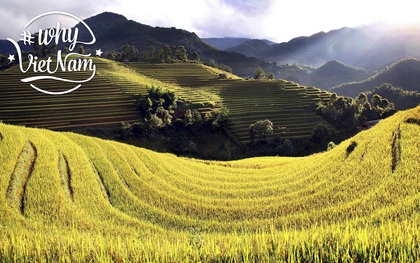 Bạn đã sẵn sàng trở thành Đại sứ du lịch với #WhyVietnam chưa?