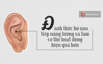 3 điểm "kì diệu" ở tai giúp bạn chữa bệnh vừa nhanh, vừa hiệu quả