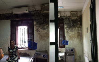 Phòng dịch vụ 1,2 triệu tường mốc meo, “bẩn hơn nhà vệ sinh” ở bệnh viện, người dân viết thư gửi bộ Y tế