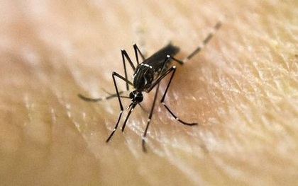 ​Malaysia xác nhận ca nhiễm Zika đầu tiên