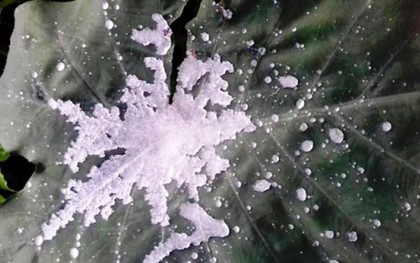 Nghệ An: Một người tử vong do giá rét