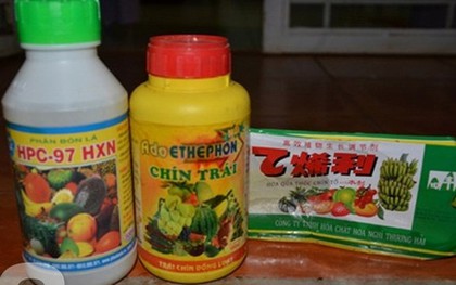 Hóa chất biến mít xanh non thành mít chín vàng thơm lừng sau 24g: Bán tràn lan, mua dễ dàng