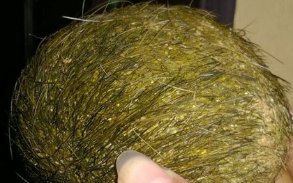 Hà Nội: “Cát lợn” đồn thổi giá hàng tỷ đồng gây xôn xao thực ra chỉ là… “sỏi lợn”