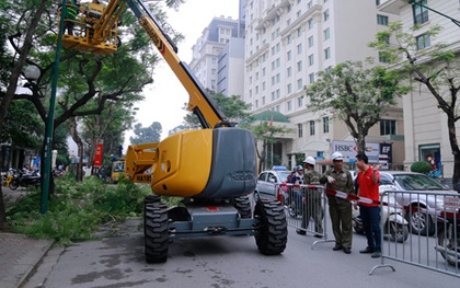 Hà Nội chi hàng tỷ đồng mua xe chuyên dụng cắt tỉa cây xanh