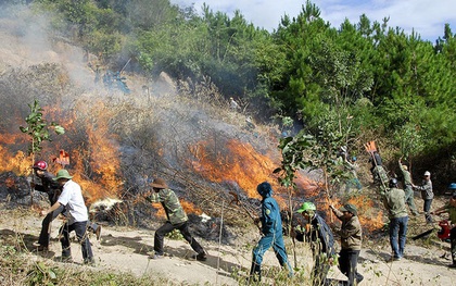 Hơn 200 người khống chế đám cháy ở vườn Quốc gia Hoàng Liên Sơn