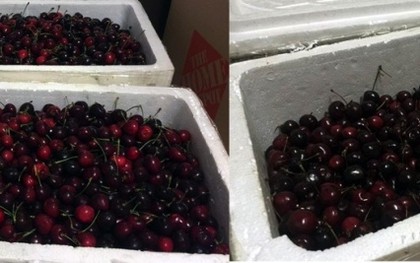 Thực hư chuyện nhân viên sân bay Nội Bài móc trộm cherry