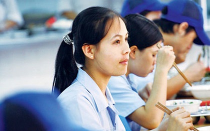 Giọt nước mắt của những ông cử bà thạc bỏ việc lương bèo ở phố thị về quê làm công nhân
