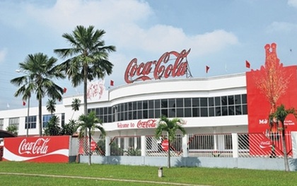Vụ dừng lưu thông 13 sản phẩm Coca Cola: Tiết lộ bất ngờ từ Cục trưởng Cục An toàn thực phẩm
