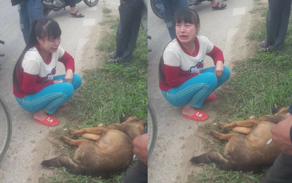Cô gái trẻ khóc bên chú chó bị xe tải tông chết trên đường ngày cuối năm khiến nhiều người thương cảm