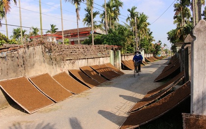 Đi làm thuốc lào về, phát hiện con gái bị xâm hại, chết giữa sân