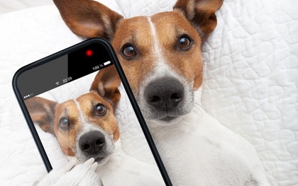 Bí kíp chụp selfie với cún cưng "độc nhất vô nhị"