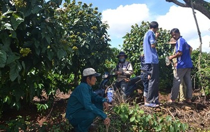 Hơn 50 người ráo riết truy tìm thủ phạm giết cháu bé 7 tuổi ở Đắk Lắk