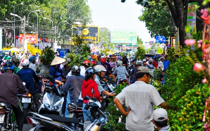 Chiều 29 Tết, người Sài Gòn chen nhau đi mua hoa đại hạ giá tràn ngập vỉa hè