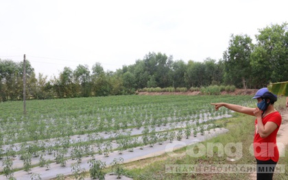Kì 1: Tội ác kinh hoàng trong ngôi mộ giữa phòng ngủ