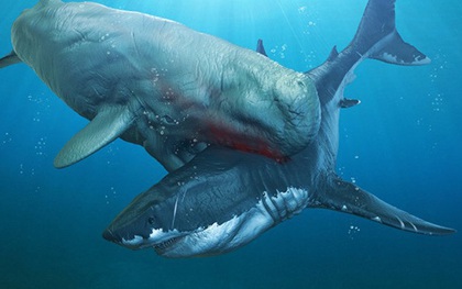 Quái vật cổ đại có khả năng giết cả siêu cá mập Megalodon