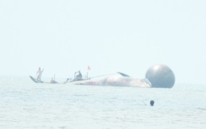Xác cá voi nặng hơn 7 tấn trôi dạt vào bờ biển Nghệ An
