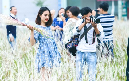 Dịp cuối tuần, người dân háo hức chụp ảnh với hoa cỏ lau giữa lòng Hà Nội