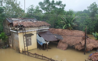 "Đợt lũ trước đã cuốn trôi 50 con gà, lần này thì chẳng còn gì mà trôi nữa"